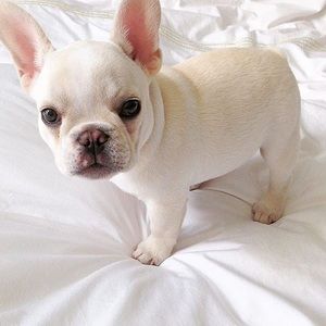 Meet your Posher, Nikki